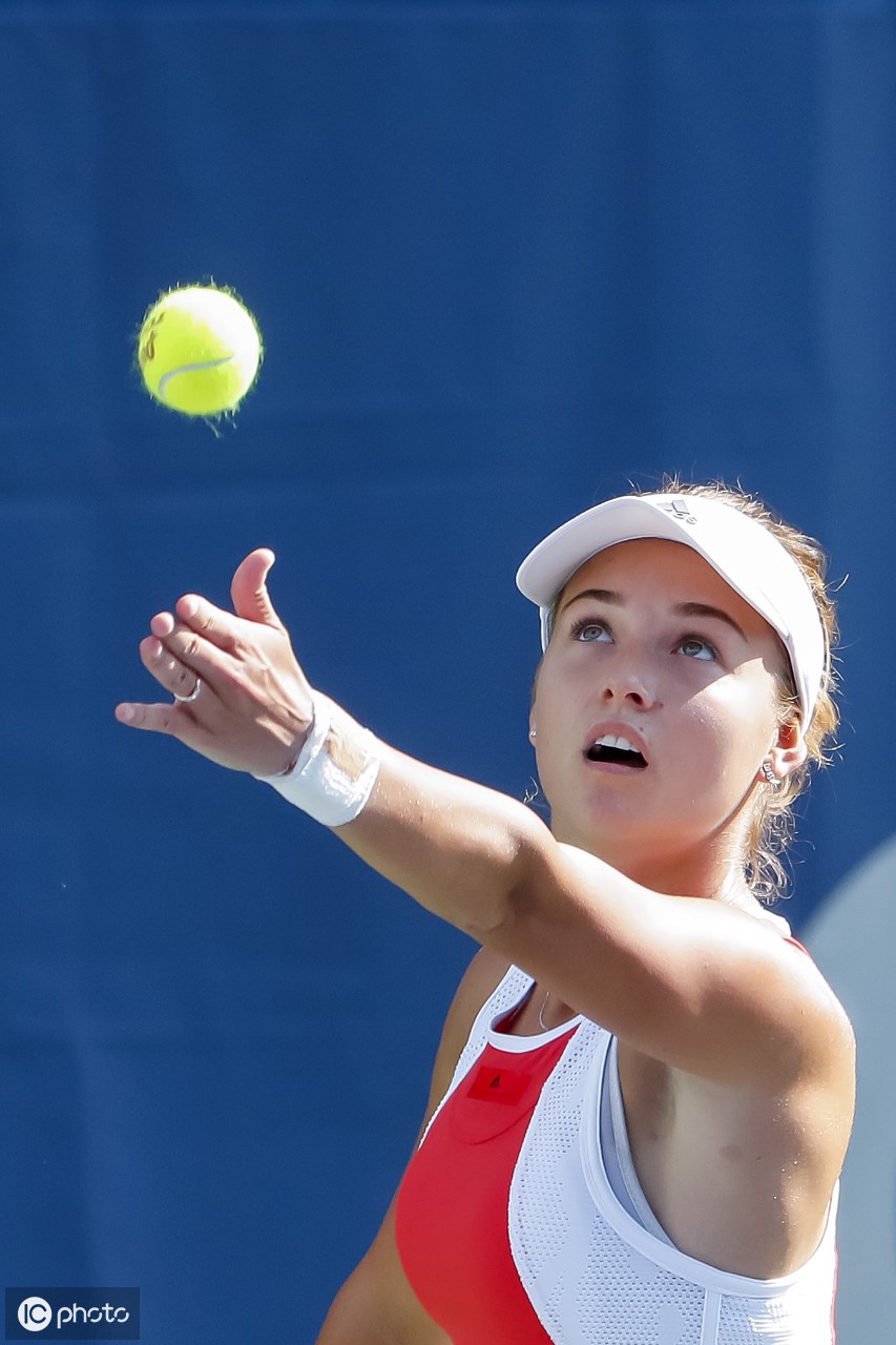 赖斯在评价 赖斯在评价