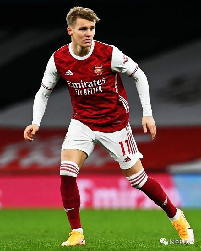 替代复杂花 替代复杂花